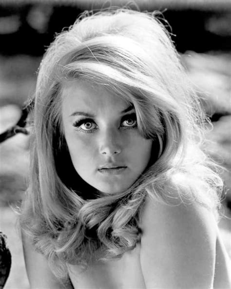 Mark Lane was a Lawyer, a staunch critic of the Warren Commission and author of Rush to Judgement. . Barbara bouchet nude